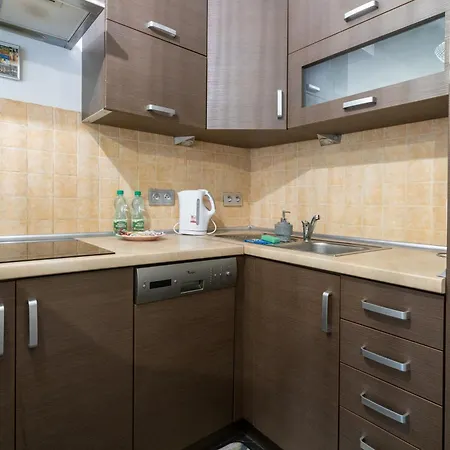 Orkana Spacious By Bookinghost Katowice